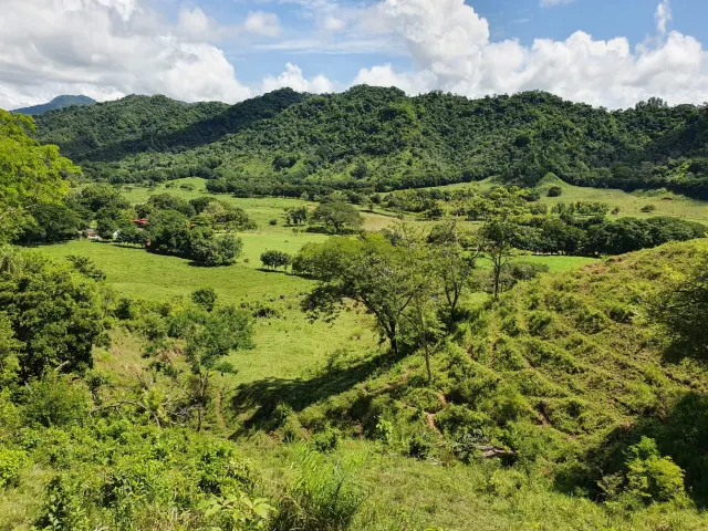 864 Acres in the Gulf of Nicoya Blue Zone – A Sanctuary of Nature and Tranquility