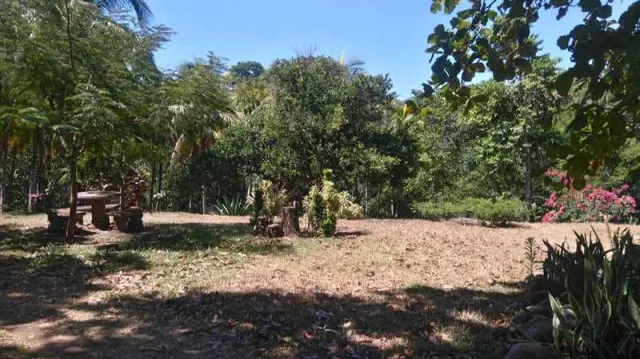 Nature Lover's Paradise: Unique Property with Two Homes on Expansive Land