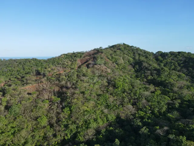 Natural Sanctuary for Sale Near Playa Negra – Two Titled Lots in Guanacaste