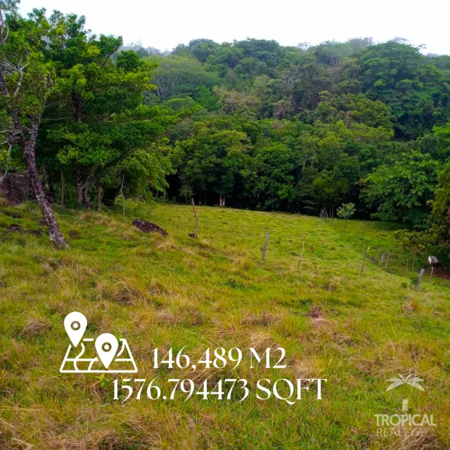 Enchanting Paradise: Captivating Estate for Sale in Tilaran, Costa Rica
