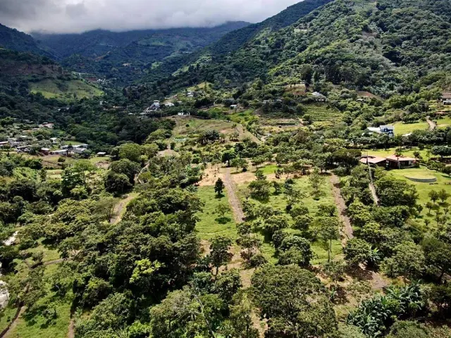 Prime 7.2-Hectare Estate in Santa Ana: Ideal for Family Living, Equestrian Facilities, or Spa Retreat