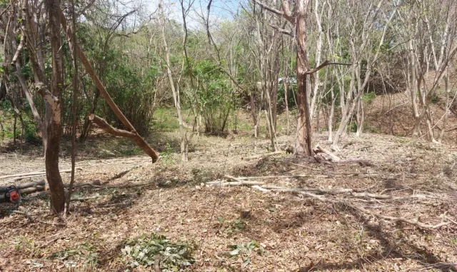 Beach Land for Sale in Garza, Nosara, Guanacaste