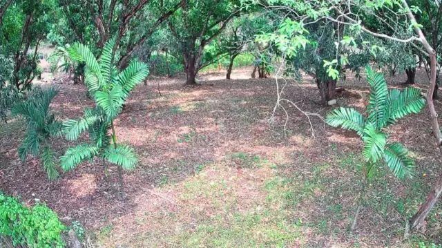 Strategic 1,312 m² Lot for Sale – Orotina, Alajuela | Frontage on Route 27