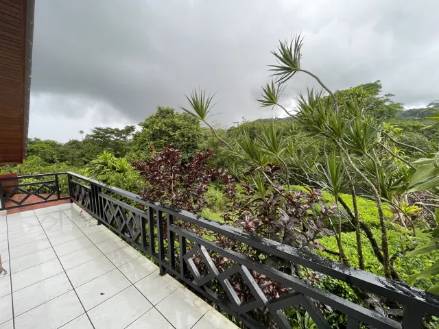 65-Acre Estate with Canopy Tour, Two Homes, horses, and Build-Ready Platforms