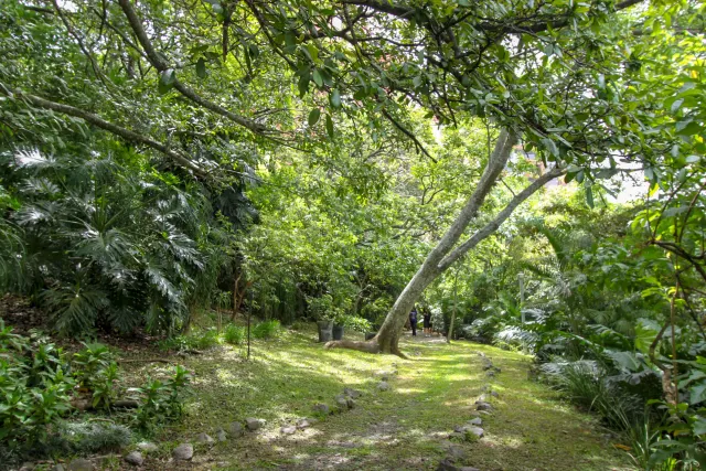 Apartment for sale or rent Escazu, Monteplata