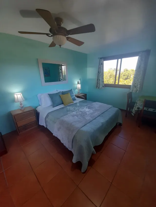 Property 2 homes, Mountain Views in San Isidro, Alajuela – Ideal Income/Hospitality or Vacation Home