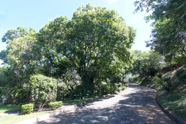 Luxury Home in La Guácima with Private Forest & Panoramic Views