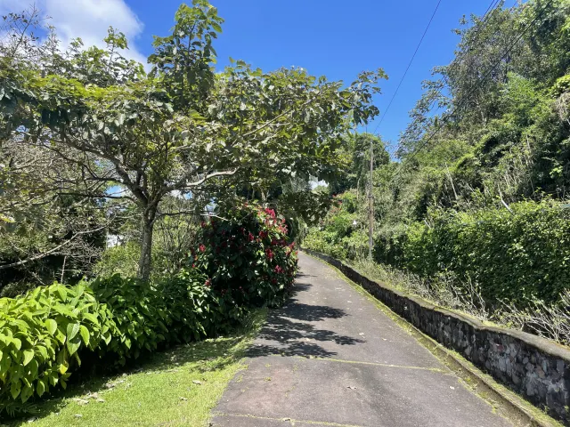 Versatile Estate in Santa Ana, Piedades: Ideal for Hotel, Airbnb, or Development