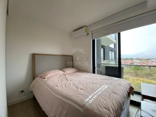 Furnished Apartment for Rent in Soho Paradisus – Rohrmoser