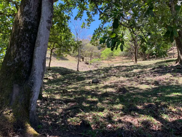 Farm for Sale in Turrúcares – Riverfront with Pools & Ecotourism Potential