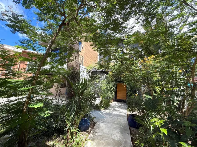 Concrete path leading to a wooden front door, surrounded by mature trees, palms, and dense foliage with a multi-story house visible in the background.