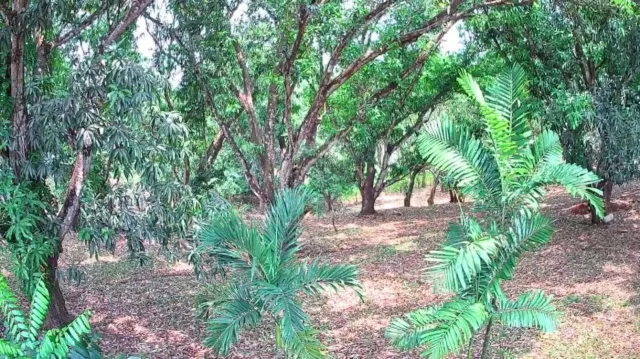 Strategic 1,312 m² Lot for Sale – Orotina, Alajuela | Frontage on Route 27