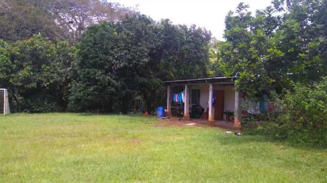 Nature Lover's Paradise: Unique Property with Two Homes on Expansive Land