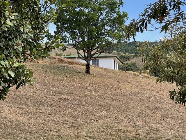 Land for Sale in San Ramón de Alajuela – 3,100 m² with Beautiful Views