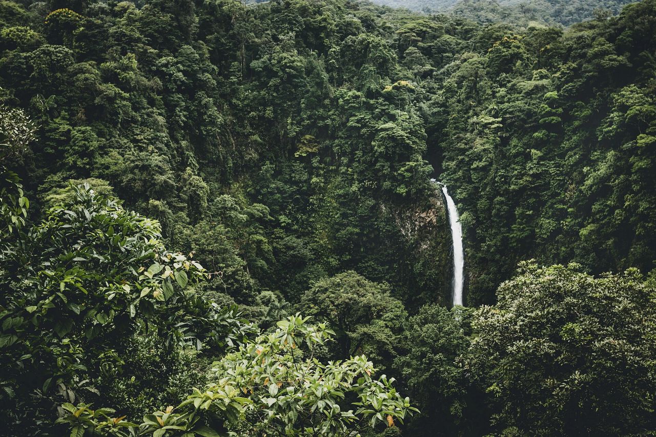 The La Fortuna waterfall dropping through dense rainforest near Arenal